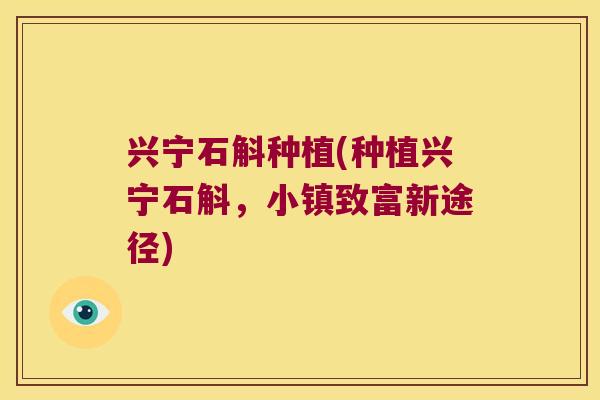 兴宁石斛种植(种植兴宁石斛，小镇致富新途径)