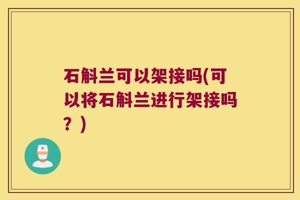 石斛兰可以架接吗(可以将石斛兰进行架接吗？)