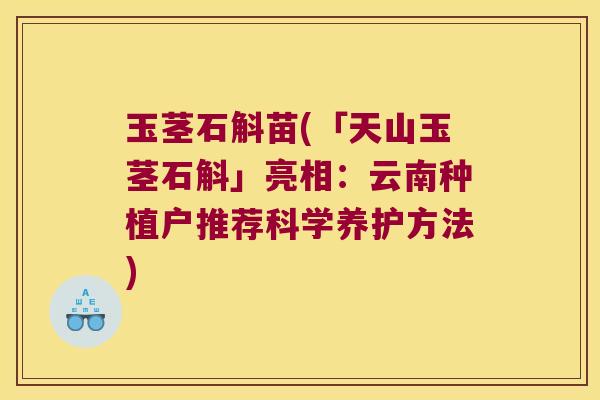 玉茎石斛苗(「天山玉茎石斛」亮相：云南种植户推荐科学养护方法)