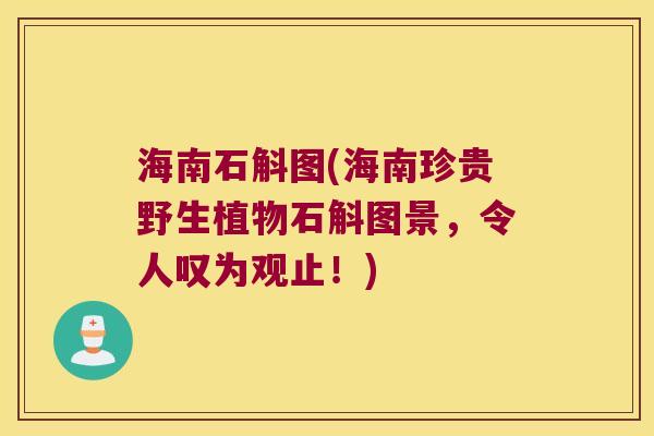 海南石斛图(海南珍贵野生植物石斛图景，令人叹为观止！)