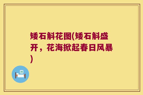 矮石斛花图(矮石斛盛开，花海掀起春日风暴)