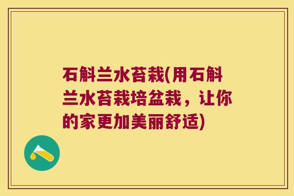 石斛兰水苔栽(用石斛兰水苔栽培盆栽，让你的家更加美丽舒适)