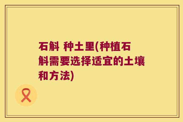 石斛 种土里(种植石斛需要选择适宜的土壤和方法)