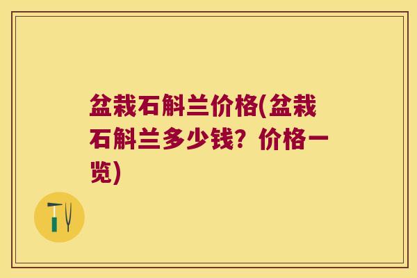 盆栽石斛兰价格(盆栽石斛兰多少钱？价格一览)