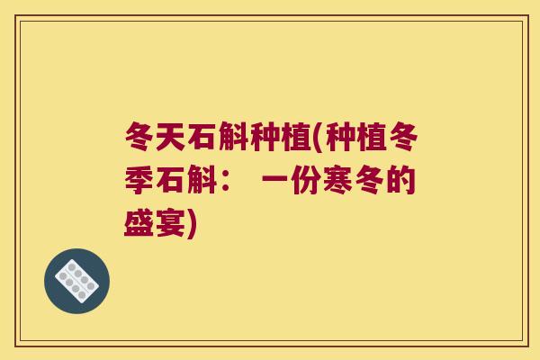 冬天石斛种植(种植冬季石斛： 一份寒冬的盛宴)