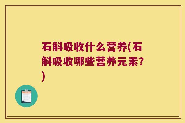 石斛吸收什么营养(石斛吸收哪些营养元素?) 石斛吸收什么营养(石斛吸收哪些营养元素?)