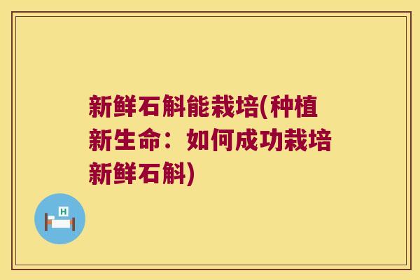 新鲜石斛能栽培(种植新生命：如何成功栽培新鲜石斛)