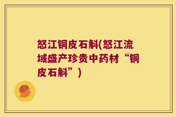 怒江铜皮石斛(怒江流域盛产珍贵中药材“铜皮石斛”)