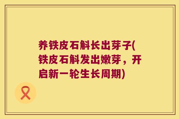 养铁皮石斛长出芽子(铁皮石斛发出嫩芽，开启新一轮生长周期)