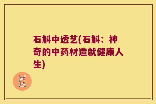 石斛中透艺(石斛:神奇的材造就健康人生) 石斛中透艺(石斛:神奇的材造就健康人生)