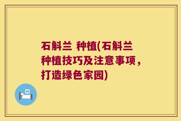 石斛兰 种植(石斛兰种植技巧及注意事项，打造绿色家园)