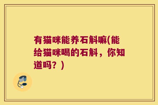 有猫咪能养石斛嘛(能给猫咪喝的石斛，你知道吗？)