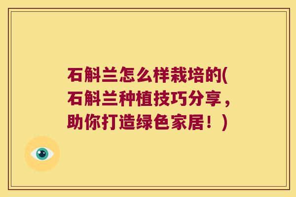 石斛兰怎么样栽培的(石斛兰种植技巧分享，助你打造绿色家居！)
