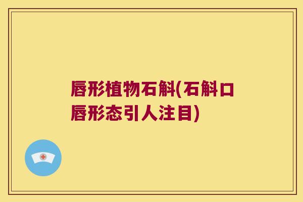 唇形植物石斛(石斛口唇形态引人注目)