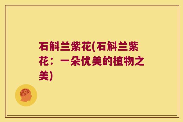 石斛兰紫花(石斛兰紫花：一朵优美的植物之美)