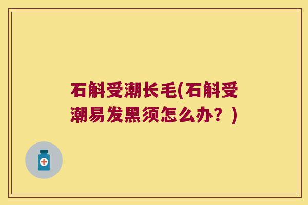石斛受潮长毛(石斛受潮易发黑须怎么办？)