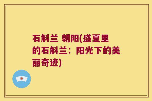 石斛兰 朝阳(盛夏里的石斛兰：阳光下的美丽奇迹)