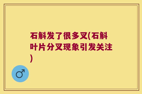 石斛发了很多叉(石斛叶片分叉现象引发关注)