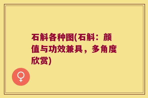 石斛各种图(石斛：颜值与功效兼具，多角度欣赏)