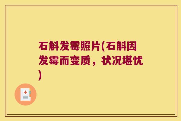 石斛发霉照片(石斛因发霉而变质，状况堪忧)