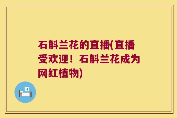 石斛兰花的直播(直播受欢迎！石斛兰花成为网红植物)