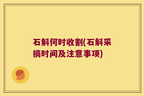 石斛何时收割(石斛采摘时间及注意事项)