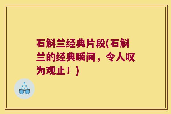 石斛兰经典片段(石斛兰的经典瞬间，令人叹为观止！)