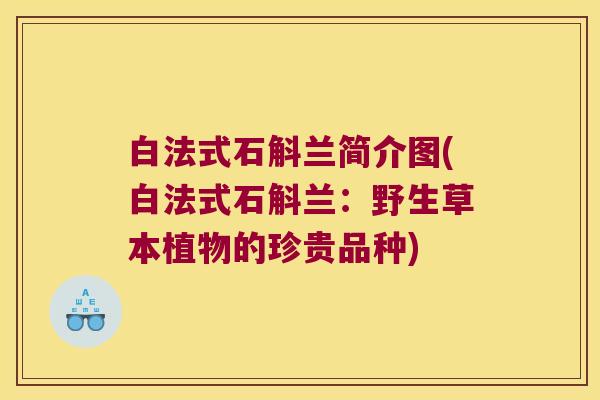 白法式石斛兰简介图(白法式石斛兰：野生草本植物的珍贵品种)