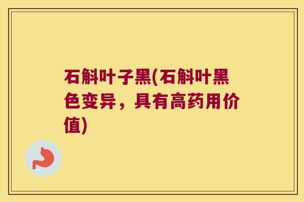 石斛叶子黑(石斛叶黑色变异，具有高药用价值)