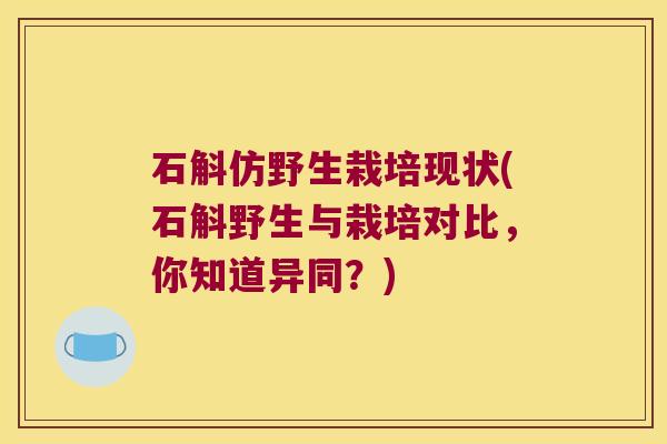 石斛仿野生栽培现状(石斛野生与栽培对比，你知道异同？)