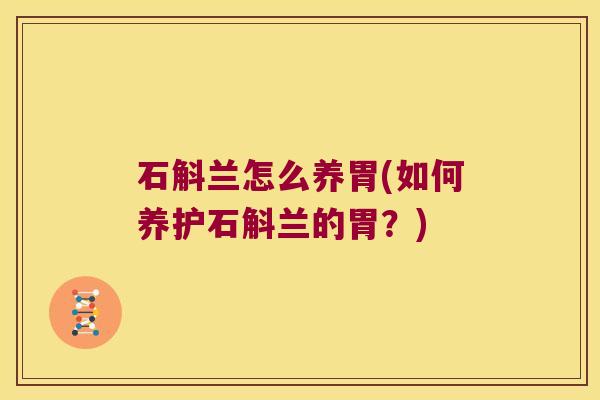 石斛兰怎么养胃(如何养护石斛兰的胃？)