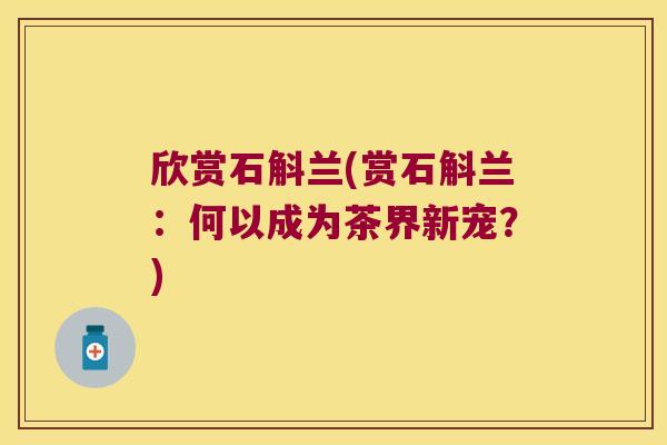 欣赏石斛兰(赏石斛兰：何以成为茶界新宠？)