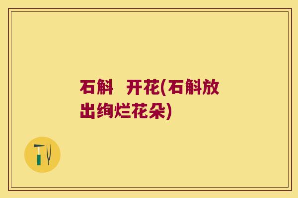 石斛  开花(石斛放出绚烂花朵)