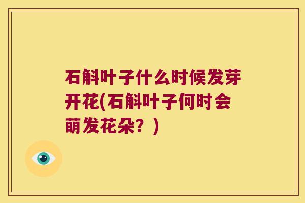 石斛叶子什么时候发芽开花(石斛叶子何时会萌发花朵？)