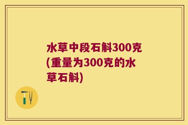 水草中段石斛300克(重量为300克的水草石斛)