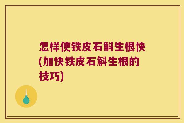 怎样使铁皮石斛生根快(加快铁皮石斛生根的技巧)