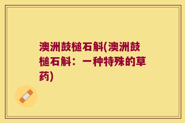 澳洲鼓槌石斛(澳洲鼓槌石斛：一种特殊的草药)