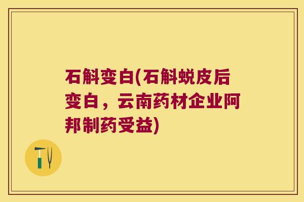 石斛变白(石斛蜕皮后变白，云南药材企业阿邦制药受益)