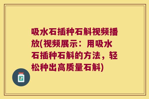 吸水石插种石斛视频播放(视频展示：用吸水石插种石斛的方法，轻松种出高质量石斛)
