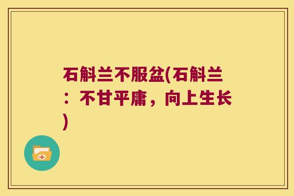 石斛兰不服盆(石斛兰：不甘平庸，向上生长)