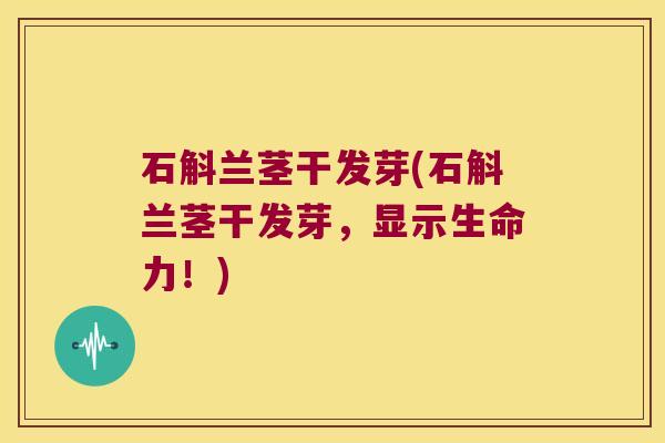 石斛兰茎干发芽(石斛兰茎干发芽，显示生命力！)