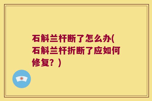 石斛兰杆断了怎么办(石斛兰杆折断了应如何修复？)