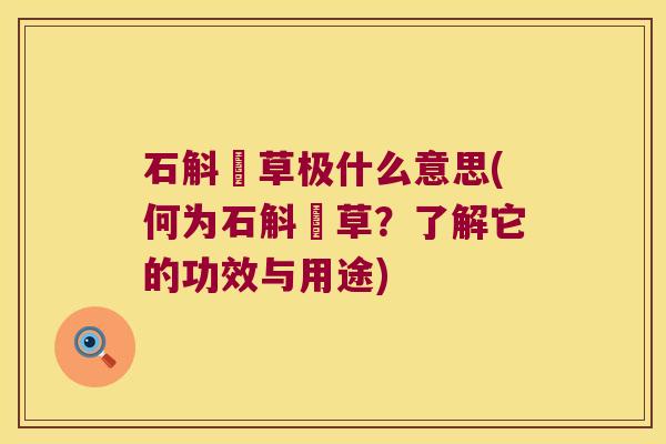 石斛仠草极什么意思(何为石斛仠草？了解它的功效与用途)