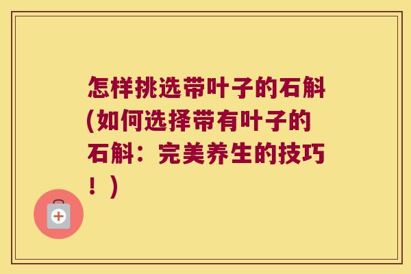 怎样挑选带叶子的石斛(如何选择带有叶子的石斛：完美养生的技巧！)