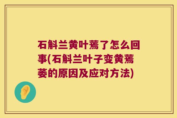 石斛兰黄叶蔫了怎么回事(石斛兰叶子变黄蔫萎的原因及应对方法)