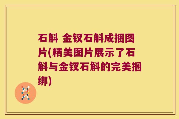 石斛 金钗石斛成捆图片(精美图片展示了石斛与金钗石斛的完美捆绑)