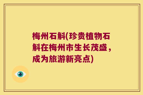 梅州石斛(珍贵植物石斛在梅州市生长茂盛，成为旅游新亮点)