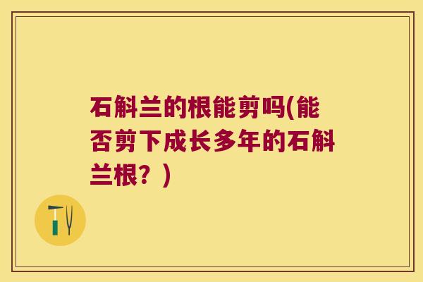 石斛兰的根能剪吗(能否剪下成长多年的石斛兰根？)