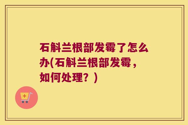 石斛兰根部发霉了怎么办(石斛兰根部发霉，如何处理？)