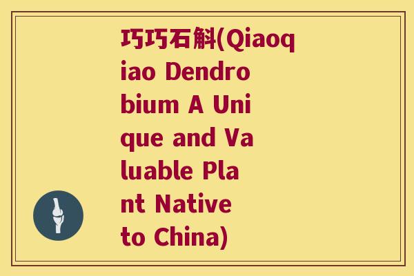 巧巧石斛(Qiaoqiao Dendrobium A Unique and Valuable Plant Native to China)
